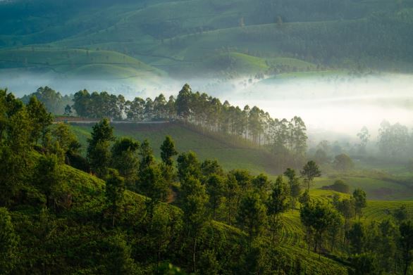 Monsoon Travel