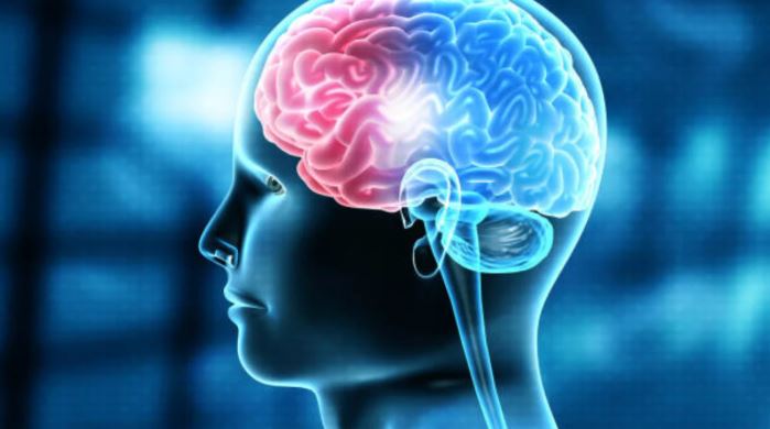 World Brain Day 2026